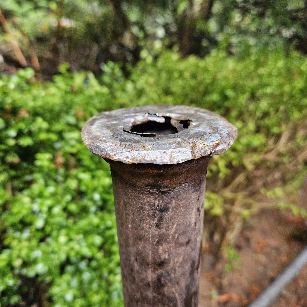 The end of a metal pipe, pounded into the ground. It is significantly flattened, yet evenly distributed producing a very rough flange.